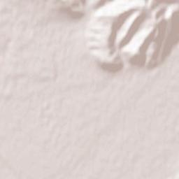 Bushtyno Terrain Map