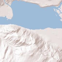 Brewster Terrain Map