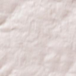 Lanouée Terrain Map