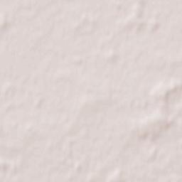 Saint-Maurice-sur-Fessard Terrain Map