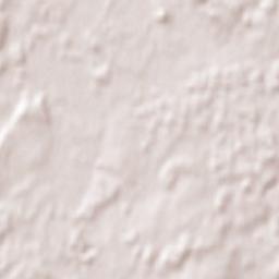 Lamprechtshausen Terrain Map