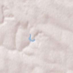 Drochia Terrain Map