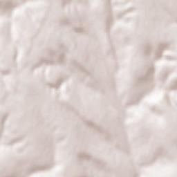 Kodyms’kyy Rayon Terrain Map