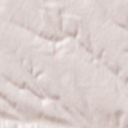 Balts’kyy Rayon Terrain Map