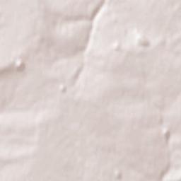 Zalesnoye Terrain Map