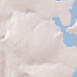 Ripiceni Terrain Map