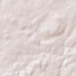 Bignan Terrain Map