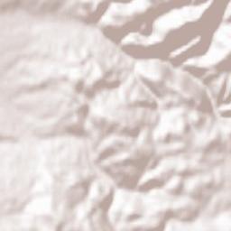 Moișeni Terrain Map