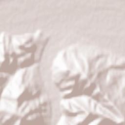 Comuna Putna Terrain Map