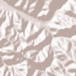 Münstertal/Schwarzwald Terrain Map