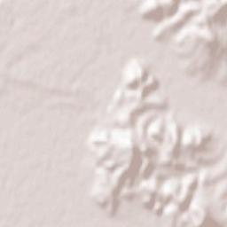 Oraşu Nou Terrain Map