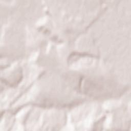 Comuna Zamostea Terrain Map