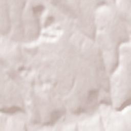 Şoldăneşti Terrain Map