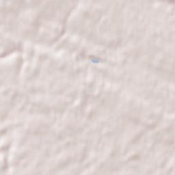 Pluvigner Terrain Map