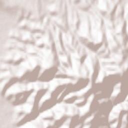 Viile Apei Terrain Map