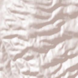 Forchtenstein Terrain Map