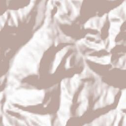 Sankt Gallen Terrain Map