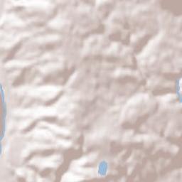 Rickenbach Terrain Map
