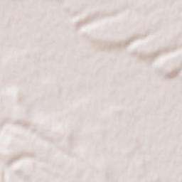 Comuna Recea Terrain Map