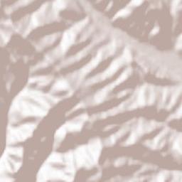 Comuna Mânăstirea Humorului Terrain Map