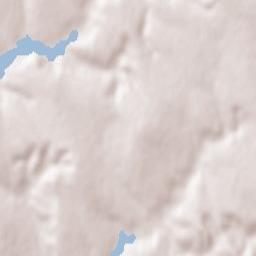 Fălești Terrain Map