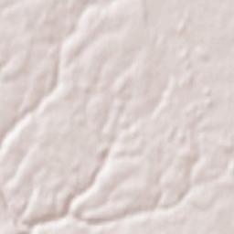 Nouzilly Terrain Map