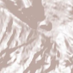 Abtenau Terrain Map