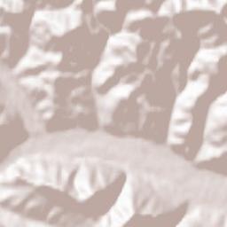 Municipiul Câmpulung Moldovenesc Terrain Map