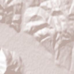 Păltinoasa Terrain Map