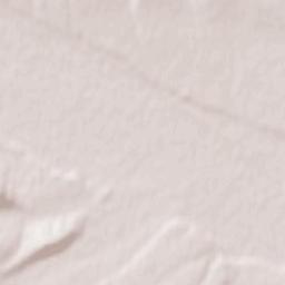 Valea Moldovei Terrain Map