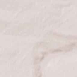 Rozivs’kyy Rayon Terrain Map