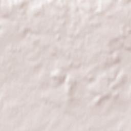 Saint-Saturnin-sur-Loire Terrain Map