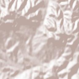 Coroieni Terrain Map