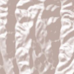 Runcu Salvei Terrain Map