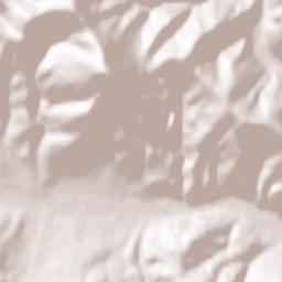 Dorna Cândrenilor Terrain Map