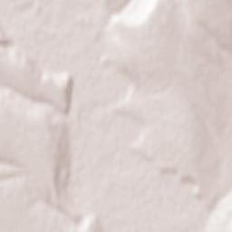 Comuna Lespezi Terrain Map