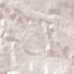 Poiana Mărului Terrain Map