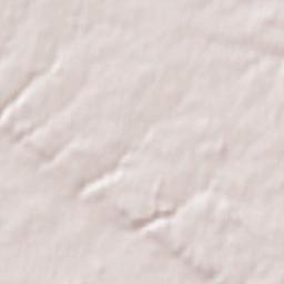 Le Temple-de-Bretagne Terrain Map