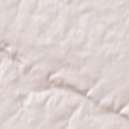 Beaulieu-sur-Layon Terrain Map