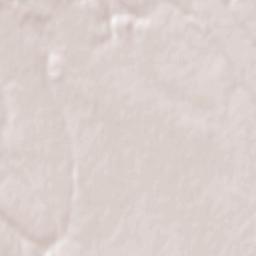 Pázmánd Terrain Map