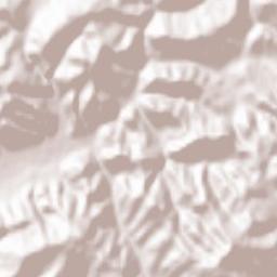 Poiana Blenchii Terrain Map