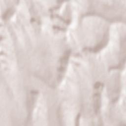 Româneşti Terrain Map