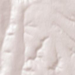 Zatyshshya Terrain Map