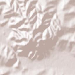 Şimleu Silvaniei Terrain Map