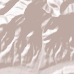 Susenii Bârgăului Terrain Map