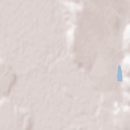 Paşcani Terrain Map