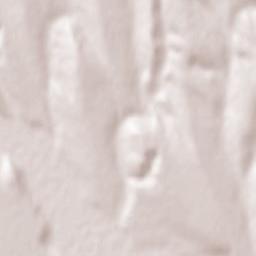 Comuna Erbiceni Terrain Map