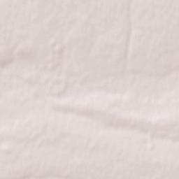 Tokmak Raion Terrain Map