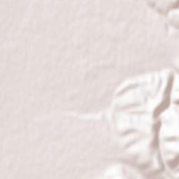 Sokol Terrain Map