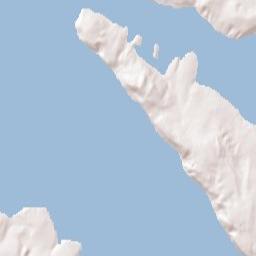 Fox Island Terrain Map